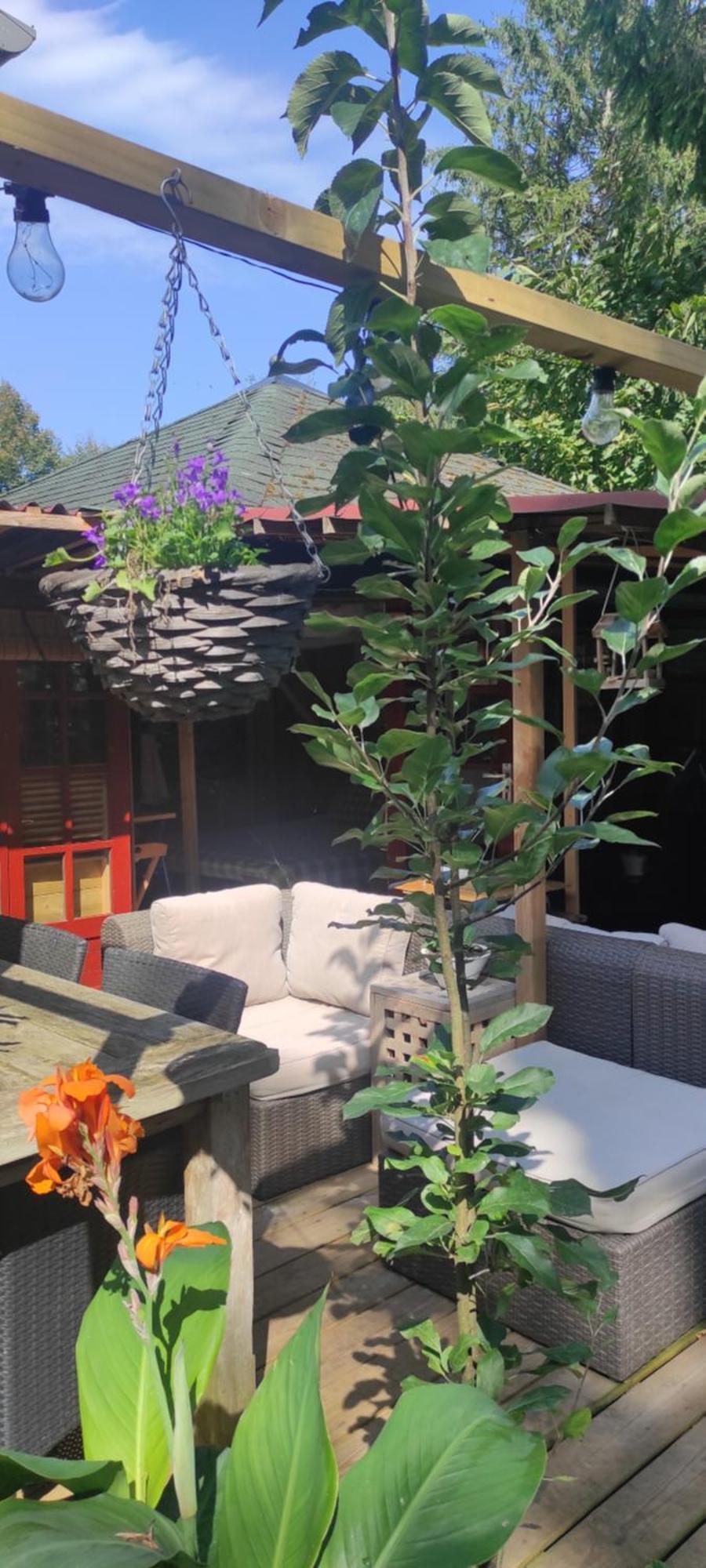 "Tempat Senang" Chalet On The Beautiful Veluwe With Airco Sauna Bbq Jacuzzi Beamer And Dog Putten Exteriör bild